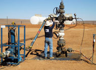 Onshore Production Services